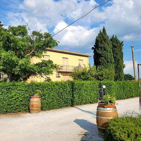 Tramonto Nella Campagna Di Bolgheri Castagneto Carducci