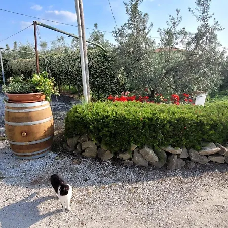 Tramonto Nella Campagna Di Bolgheri Holiday home Castagneto Carducci